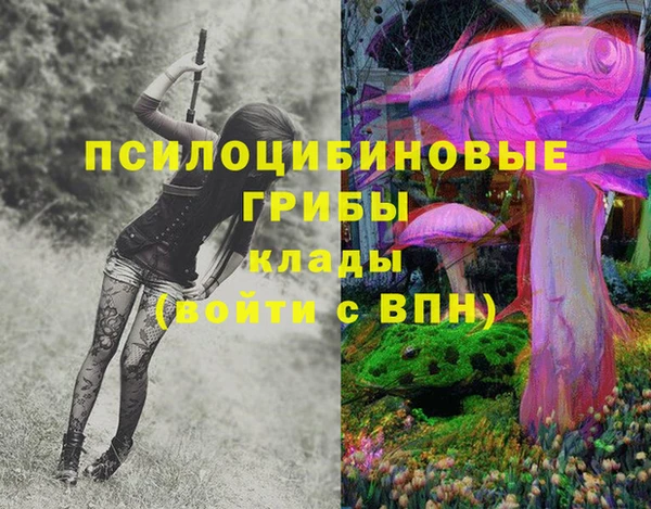 марки lsd Алексеевка