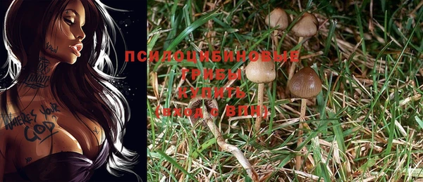 spice Алзамай