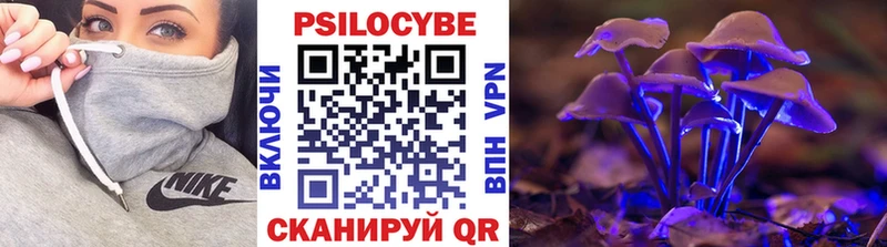 МЕГА tor  Кондопога  Галлюциногенные грибы прущие грибы 